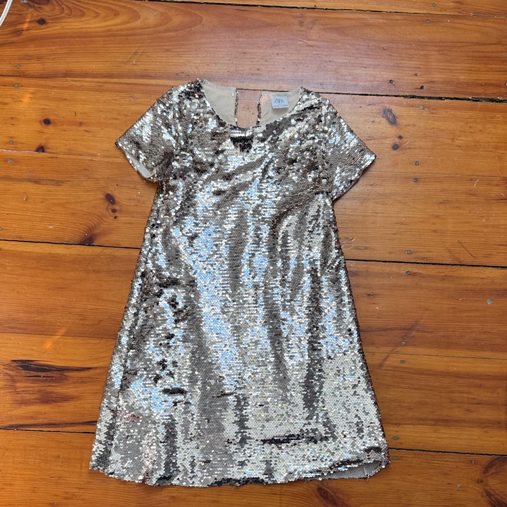 Zara Shiny Metallic Sequin Dress